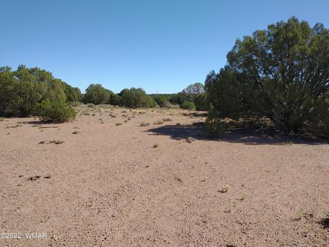 4265 Mountain View Rd, Snowflake, AZ 85937