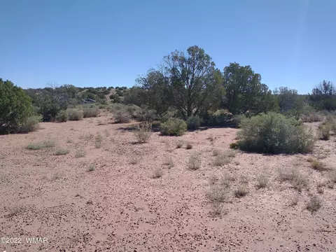 4253 Indian Bend Rd, Snowflake, AZ 85937 photo 9