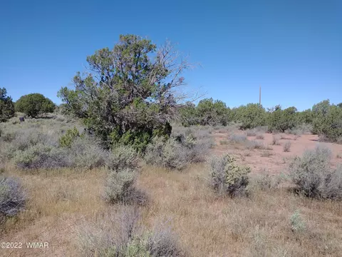4253 Indian Bend Rd, Snowflake, AZ 85937 photo 12