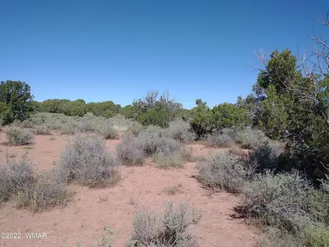 4253 Indian Bend Rd, Snowflake, AZ 85937 photo 11