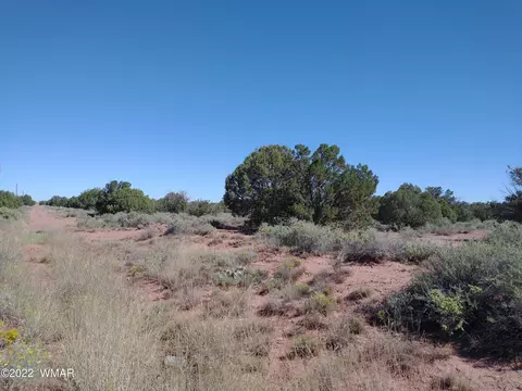 4253 Indian Bend Rd, Snowflake, AZ 85937 photo 5