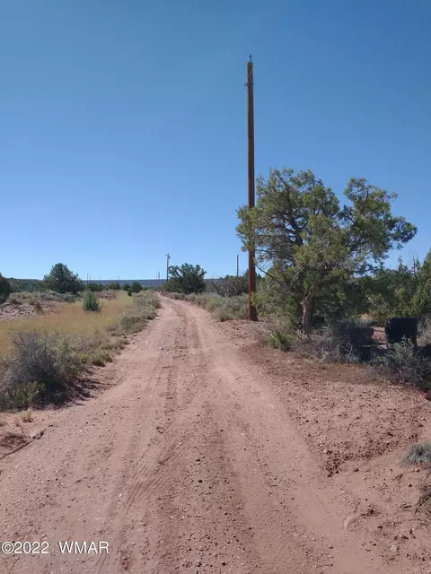 4253 Indian Bend Rd, Snowflake, AZ 85937 photo 4