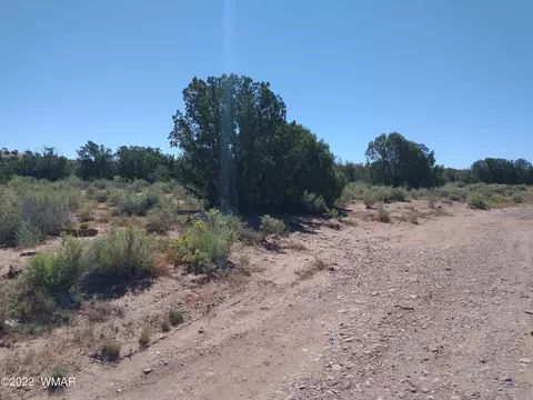 4253 Indian Bend Rd, Snowflake, AZ 85937 photo 13