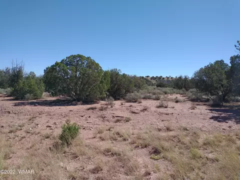 4253 Indian Bend Rd, Snowflake, AZ 85937 photo 2