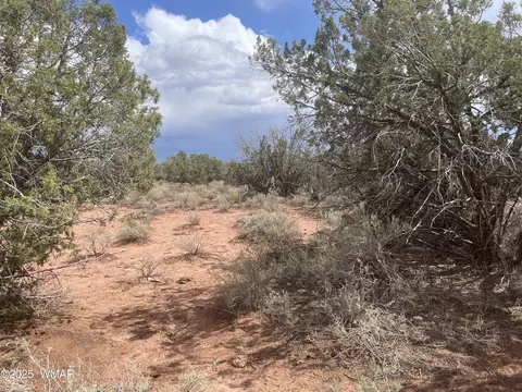 4253 Indian Bend Rd, Snowflake, AZ 85937 photo 22