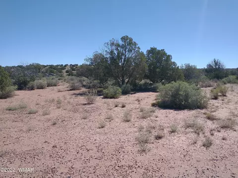 4253 Indian Bend Rd, Snowflake, AZ 85937 photo 8