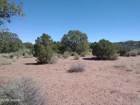 4253 Indian Bend Rd, Snowflake, AZ 85937 photo 7