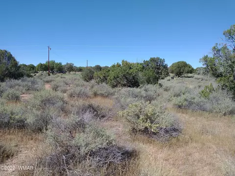 4253 Indian Bend Rd, Snowflake, AZ 85937 photo 14