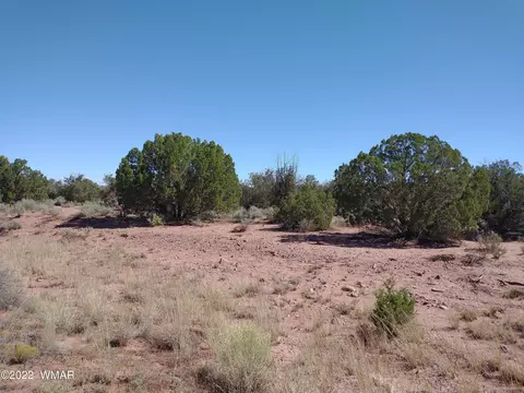4253 Indian Bend Rd, Snowflake, AZ 85937 photo 3