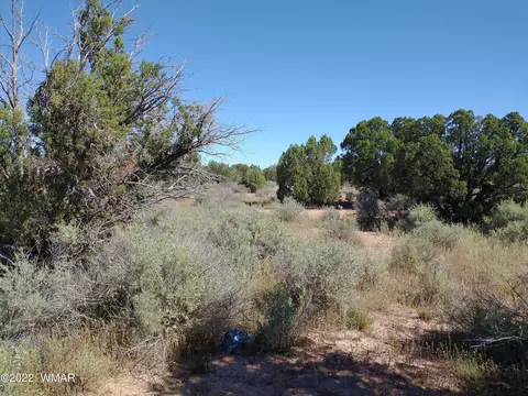 4253 Indian Bend Rd, Snowflake, AZ 85937 photo 10