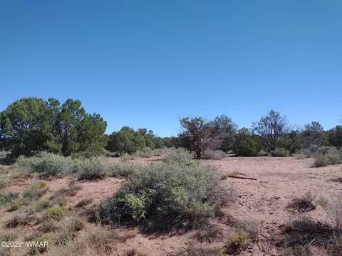 4253 Indian Bend Rd, Snowflake, AZ 85937 photo 6