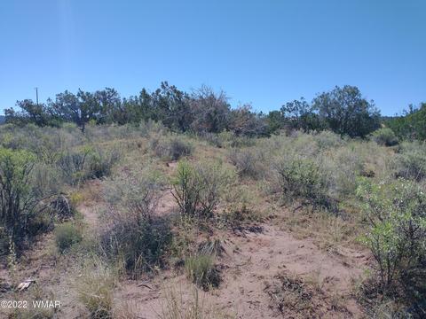 4056 Sorrel Rd, Snowflake, AZ 85937 photo 2