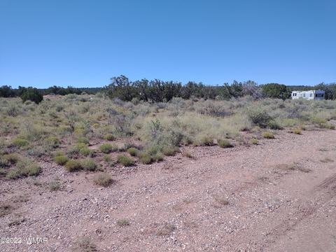 4056 Sorrel Rd, Snowflake, AZ 85937 photo 8