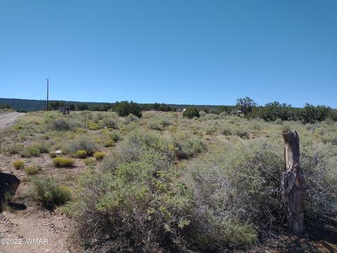 4056 Sorrel Rd, Snowflake, AZ 85937 photo 7