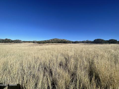 Tbd 107-10-270, Concho, AZ 85924