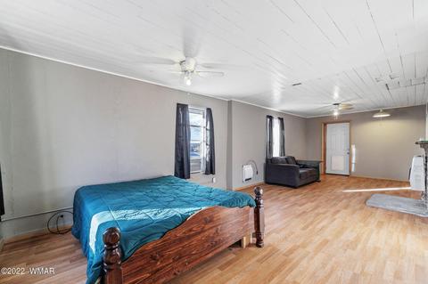 300 S Mountain Ave, Springerville, AZ 85938 photo 10