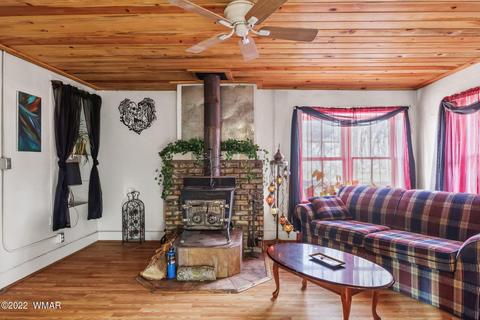 300 S Mountain Ave, Springerville, AZ 85938 photo 20