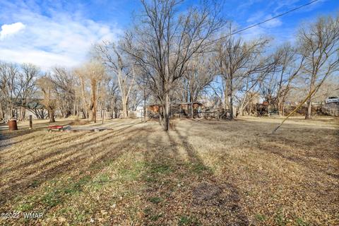 300 S Mountain Ave, Springerville, AZ 85938 photo 7
