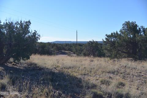 4050 Colt Rd, Snowflake, AZ 85937 photo 1