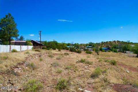 0 E Yaqui St, Springerville, AZ 85938 photo 8
