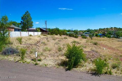 0 E Yaqui St, Springerville, AZ 85938 photo 5