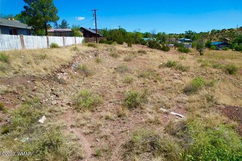 0 E Yaqui St, Springerville, AZ 85938 photo 6