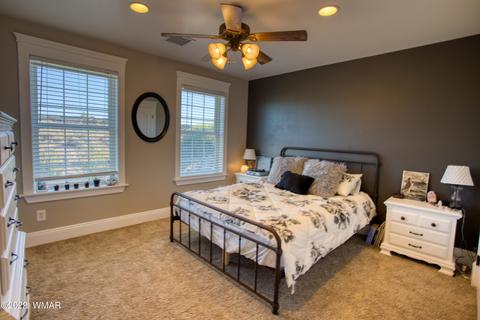 584 E Greer Ave, Snowflake, AZ 85937 photo 33