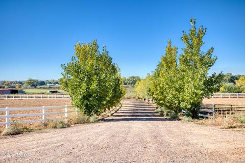 584 E Greer Ave, Snowflake, AZ 85937 photo 37