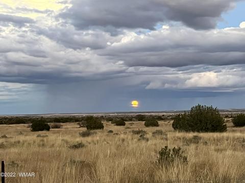 Lot 12 N Old Woodruff Rd, Snowflake, AZ 85937