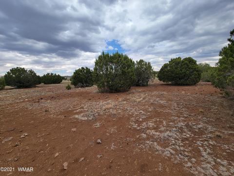 Tbd County Road 3137, Vernon, AZ 85940