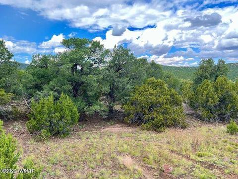 13 Co Rd 3036, Concho, AZ 85924
