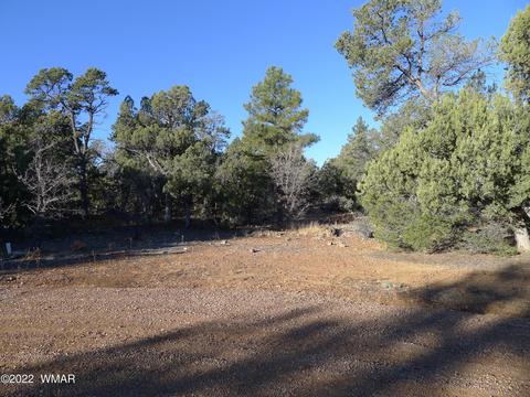 6251 Elk Haven Dr, Show Low, AZ 85901