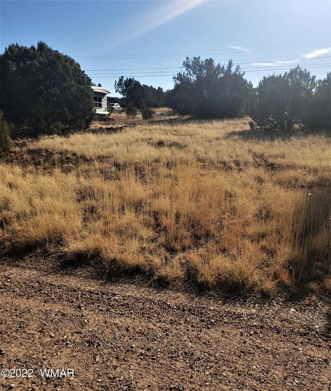 8437 Ortega Dr, Show Low, AZ 85902