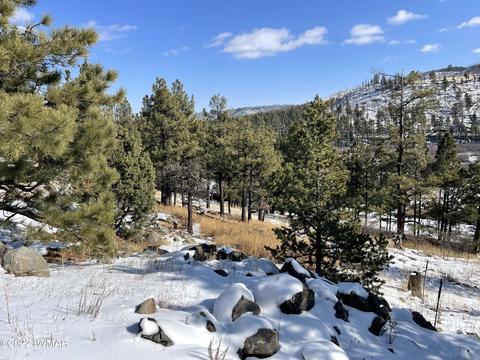 2 1013, Greer, AZ 85927 photo 32