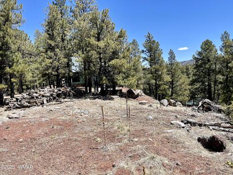 2 1013, Greer, AZ 85927 photo 16
