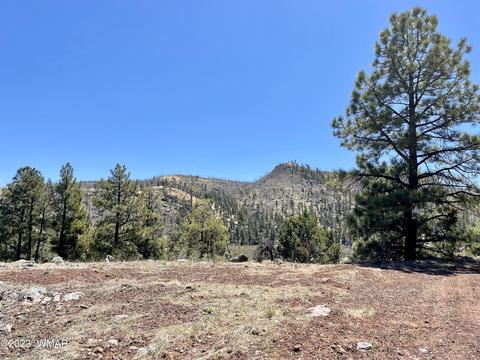 2 1013, Greer, AZ 85927 photo 18