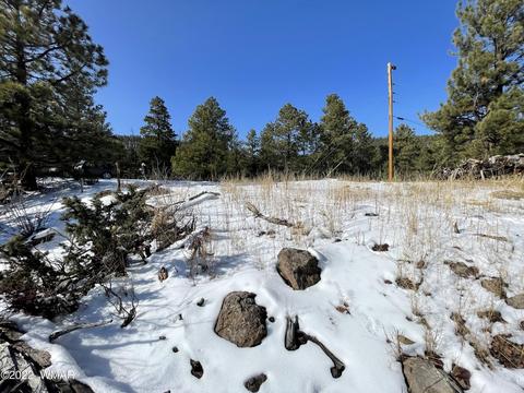 2 1013, Greer, AZ 85927 photo 26