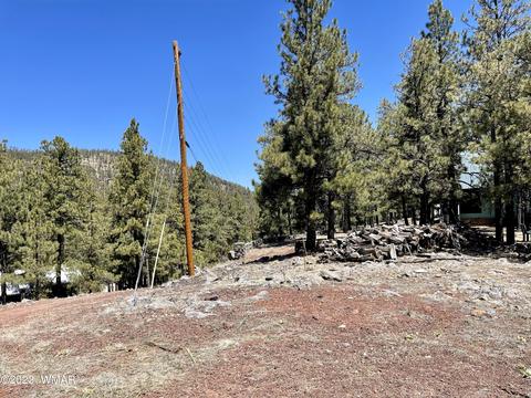 2 1013, Greer, AZ 85927 photo 17