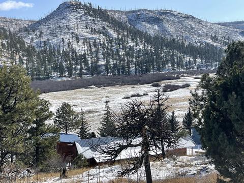 2 1013, Greer, AZ 85927 photo 21