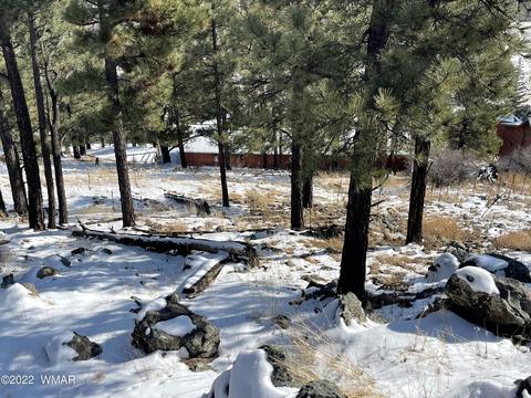 2 1013, Greer, AZ 85927 photo 25
