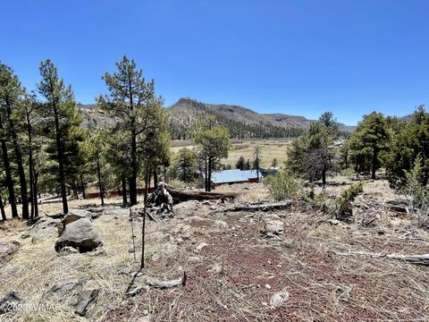 2 1013, Greer, AZ 85927 photo 9