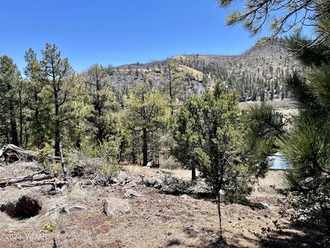 2 1013, Greer, AZ 85927 photo 6
