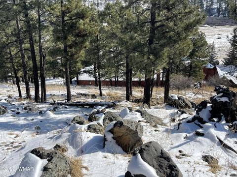 2 1013, Greer, AZ 85927 photo 22