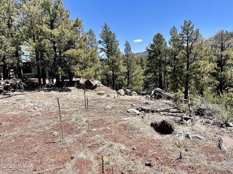2 1013, Greer, AZ 85927 photo 15