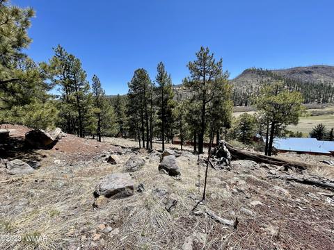 2 1013, Greer, AZ 85927 photo 10
