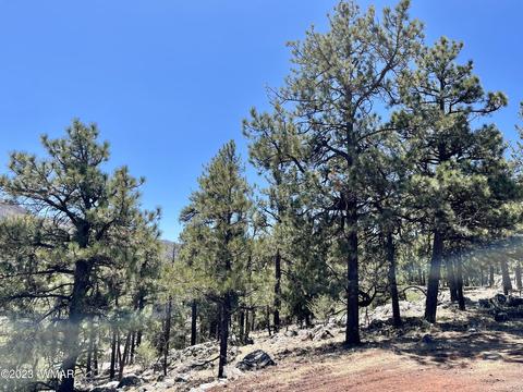 2 1013, Greer, AZ 85927 photo 4