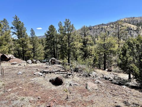 2 1013, Greer, AZ 85927 photo 14