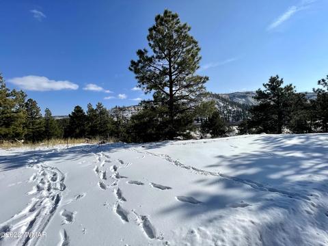 2 1013, Greer, AZ 85927 photo 29