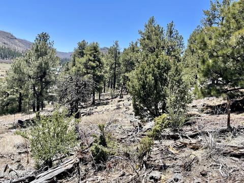 2 1013, Greer, AZ 85927 photo 3