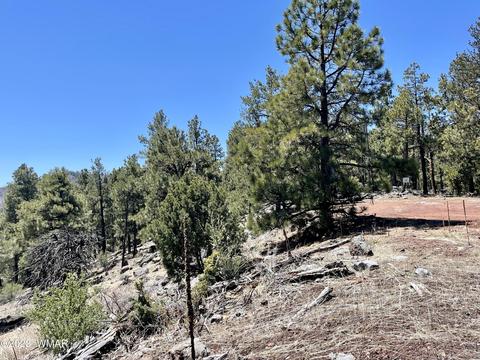2 1013, Greer, AZ 85927 photo 13
